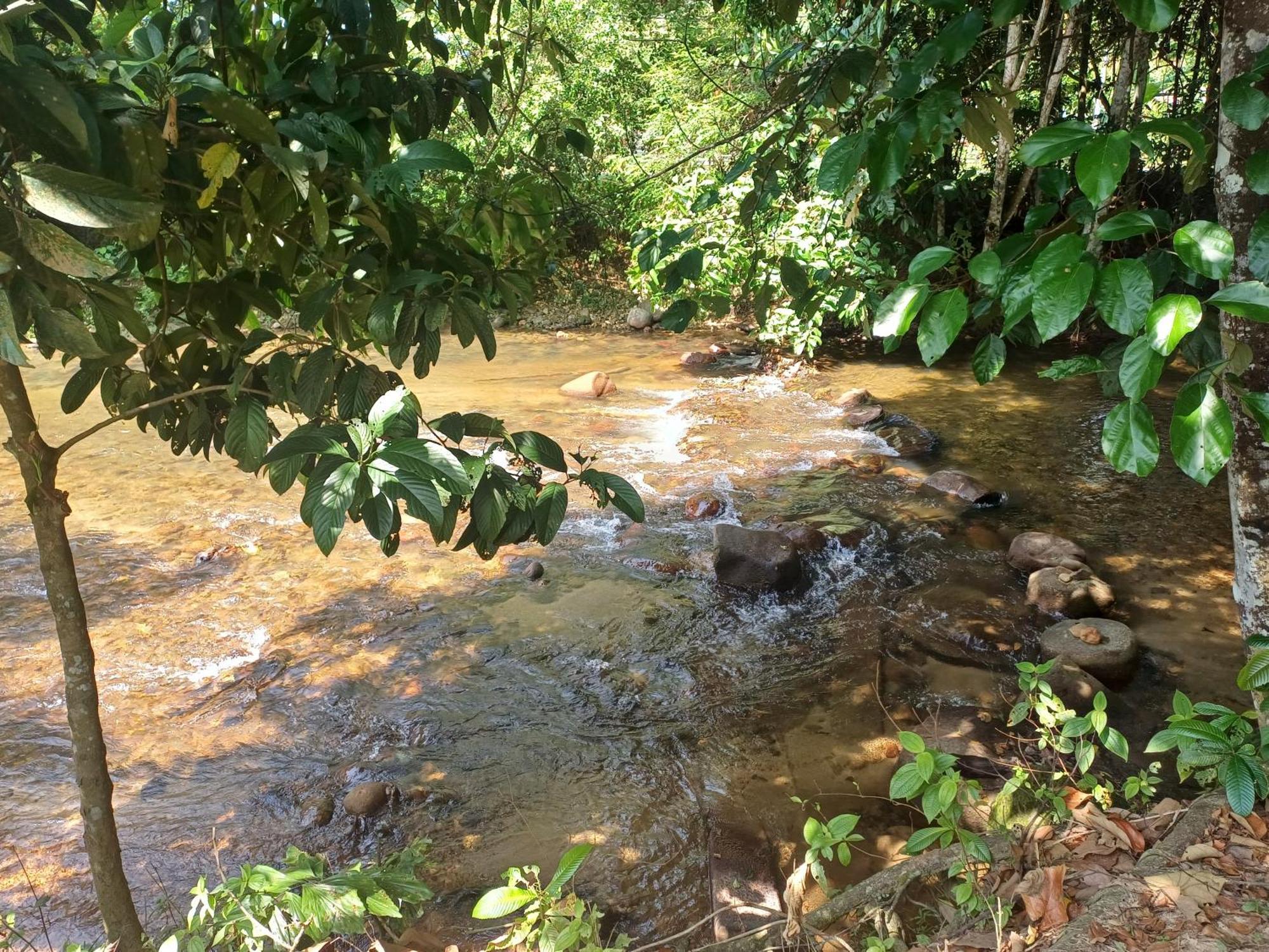 Отель Lemuni Retreat & Training Centre - Kerling, Selangor Экстерьер фото